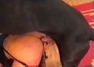 Doggy style fuck-fest with a nasty dog