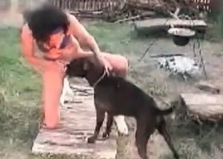 Black dog gets to lick human pussy