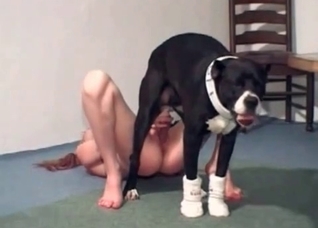 Amateur getting fucked hard by a dog