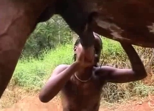 Exotic babe blowing a horse outdoors