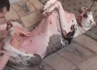 Dude loves that dog pussy, he LOVES it