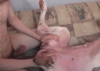 Dude loves that dog pussy, he LOVES it