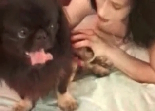 Brunette playfully sucking dog's cock
