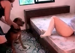 Two babes are gonna fuck this pooch