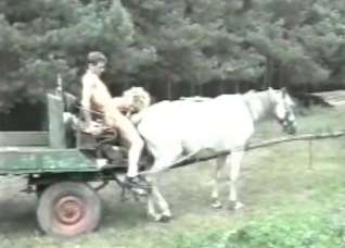 That horse gets fucked instead of carrying