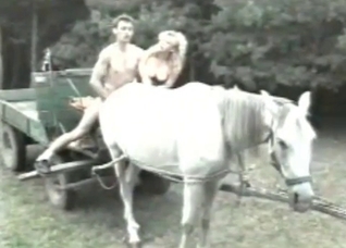 That horse gets fucked instead of carrying