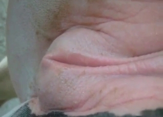 Amazing fisting for horse's hot pussy