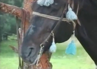 Dark-haired hoe gets ruined by a horse
