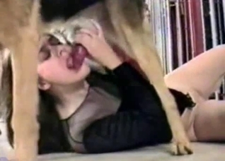 Amateur happily blows a sexy dog