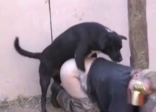 Doggy style fucking with farm animals