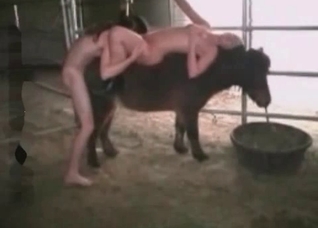 Kinky couple and a big animal from the barn