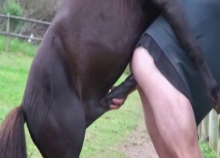 Dude violated by a hot horse boner