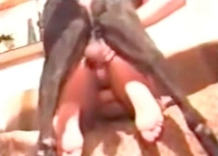 Close-up action in doggy style