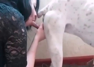 Brunette blows her beautiful dog