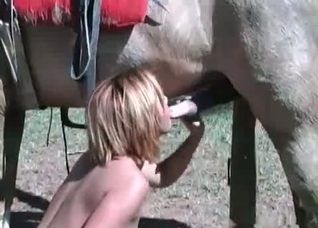 Outdoors blowjob for a sexy horse
