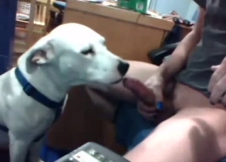 Whorish dog about to take this hot cock