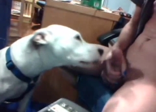 Whorish dog about to take this hot cock