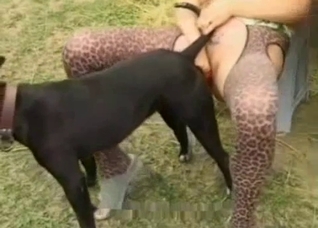 Tights-wearing MILF with a horse and a dog
