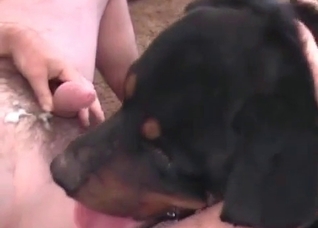 Dog cock raping this dude's hot hole