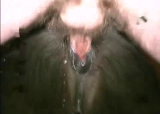 Filthy sex with a filthy animal