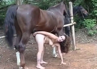 Close-up outdoors sex with a horse