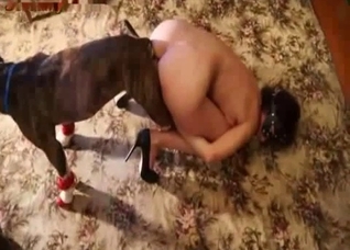 Doggy style fuck-fest on the floor