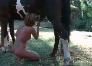 Outdoors handjob and sex for a horse