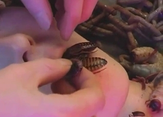 JAV zoo sex with maggots and roaches