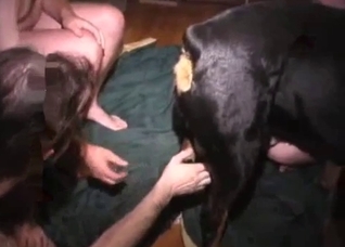 Gay dude vigorously sucking dog cock