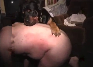 Fat old gay dude fucked by a dog