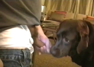 Dude fucking this slutty-ass doggy
