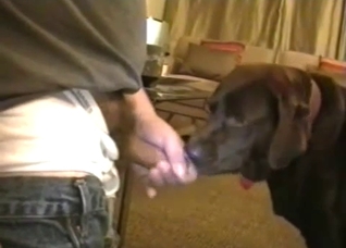 Dude fucking this slutty-ass doggy
