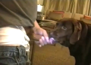 Dude fucking this slutty-ass doggy