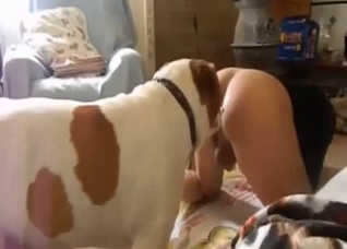 Spotted dog fucking a horny zoophile