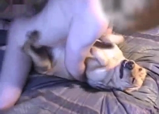 Dude violently fucking his own pet