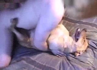Dude violently fucking his own pet