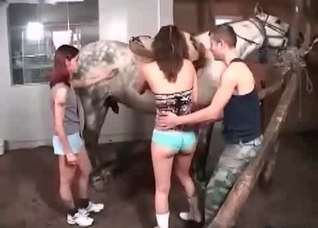 Orgy featuring humans and animals