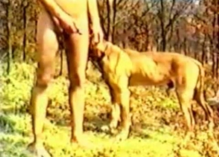Dude seducing his own dog in the forest