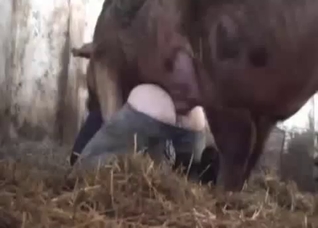 Close-up outdoors bestiality for you