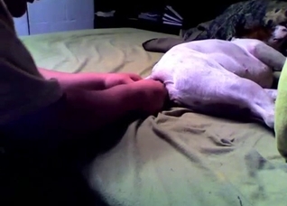 Dude preparing his pet's hole for a cock