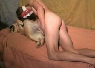 Dude destroying his own doggo
