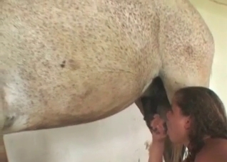 Blowjob from a curly-haired zoophile