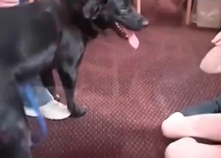 Dog gets to violate a submissive bitch