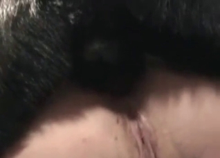 Redheaded MILF destroyed by a dog