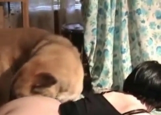 Redheaded MILF destroyed by a dog