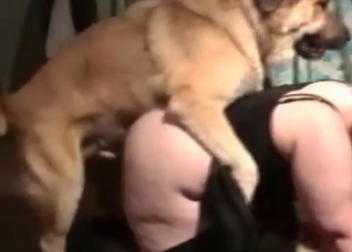 Redheaded MILF destroyed by a dog