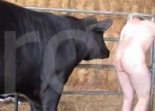 Big booty zoophile destroyed by a horse