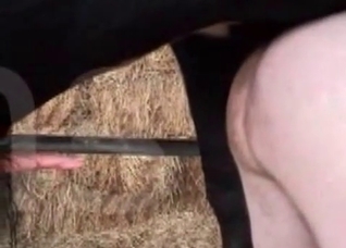 Big booty zoophile destroyed by a horse