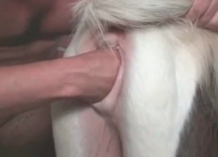 Dude fist-fucking a pony or something