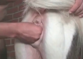 Dude fist-fucking a pony or something